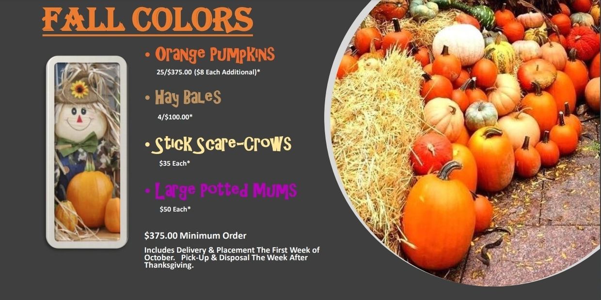 Fall decorations with pumpkins and scarecrow display.